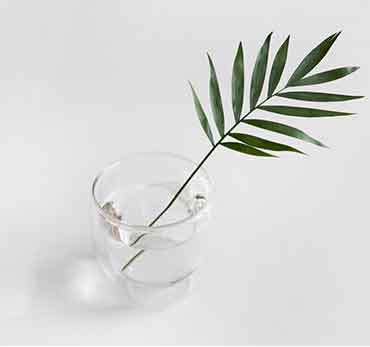 手机攻击器APP下载